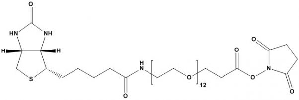 Biotin PEG12 NHS ChemPep