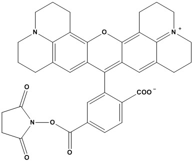6-ROX, SE - ChemPep