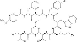 Hynic-TOC