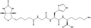 Biotinoyl Tripeptide-1