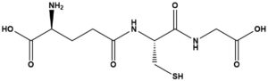 Glutathione